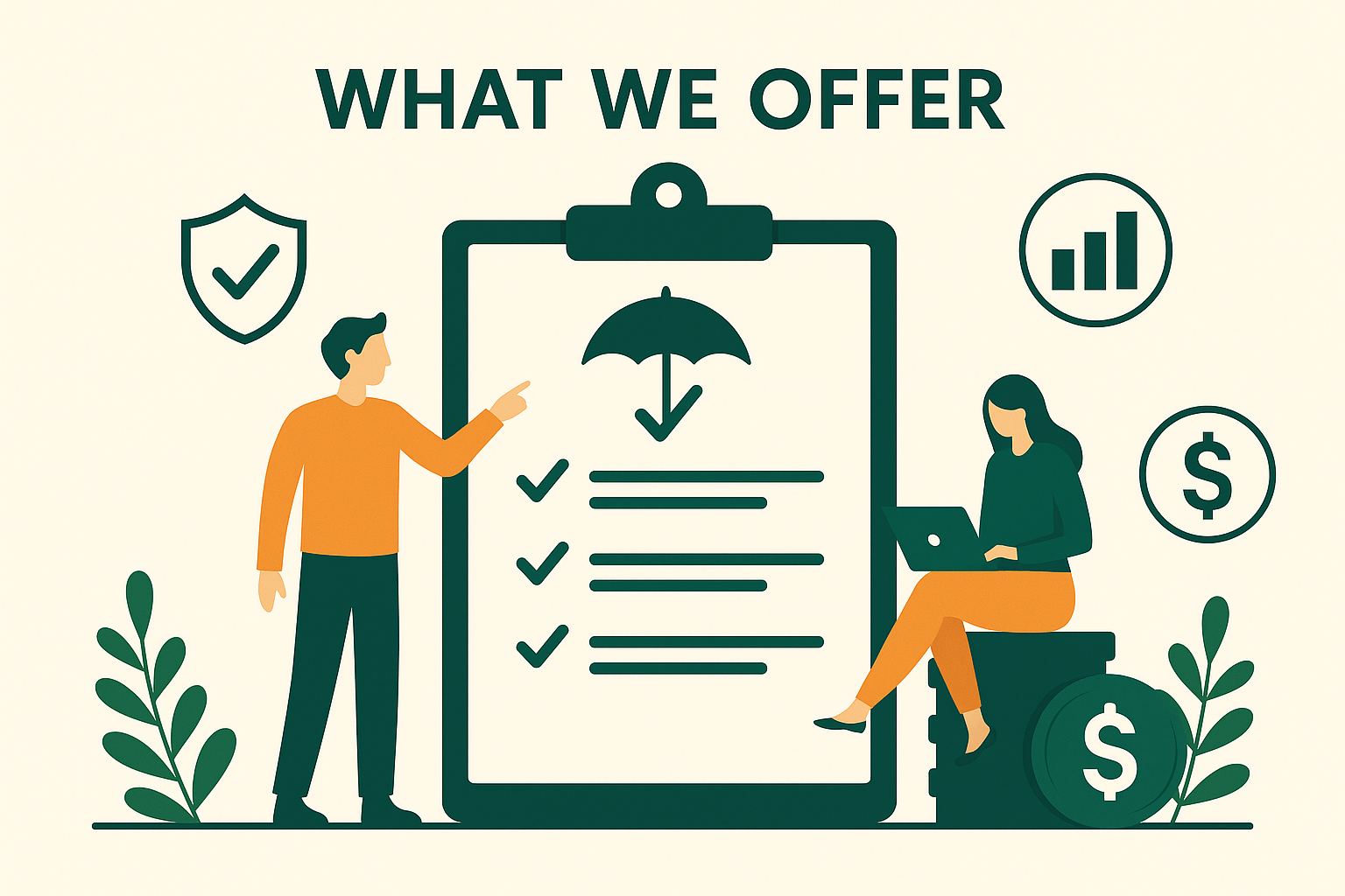 What we offer